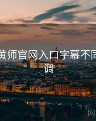 关于鉴黄师官网入口字幕不同步怎么调