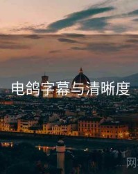 电鸽字幕与清晰度