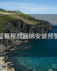 蓝莓视频捆绑安装预警