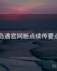 岛遇官网断点续传要点