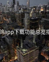 电鸽app下载功能总览指南