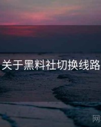 关于黑料社切换线路