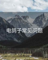 电鸽子常见问题