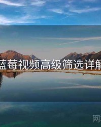 蓝莓视频高级筛选详解