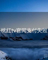 关于桃红tv官网支付失败排查