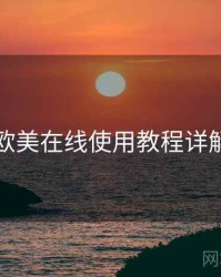 欧美在线使用教程详解