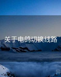关于电鸽切换线路