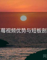 草莓视频优势与短板剖析