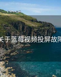 关于蓝莓视频投屏故障