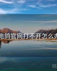 电鸽官网打不开怎么办