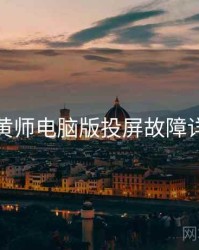 鉴黄师电脑版投屏故障详解