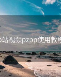p站视频pzpp使用教程