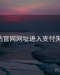 关于p站官网网址进入支付失败排查