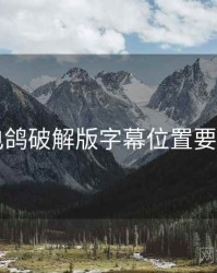 电鸽破解版字幕位置要点