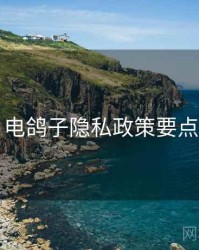 电鸽子隐私政策要点