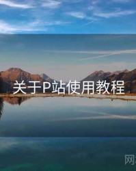 关于P站使用教程