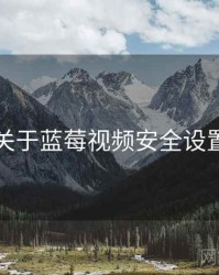 关于蓝莓视频安全设置