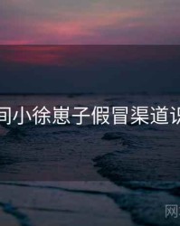 秘语空间小徐崽子假冒渠道识别步骤