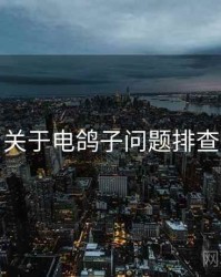 关于电鸽子问题排查