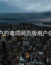 面向用户的电鸽网页版用户体验报告