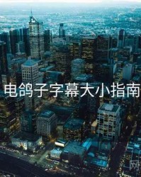 电鸽子字幕大小指南