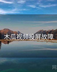 木瓜视频投屏故障