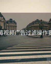 蓝莓视频广告过滤操作要点