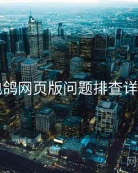 电鸽网页版问题排查详解