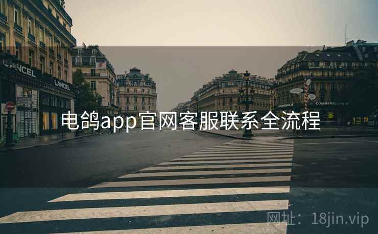 电鸽app官网客服联系全流程