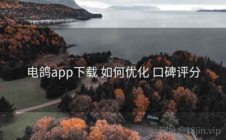 电鸽app下载 如何优化 口碑评分