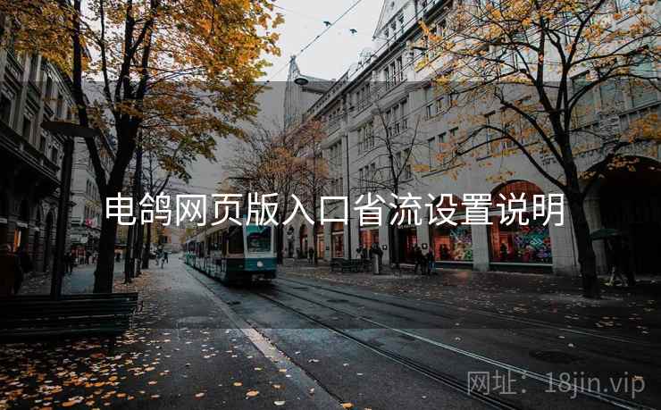 电鸽网页版入口省流设置说明