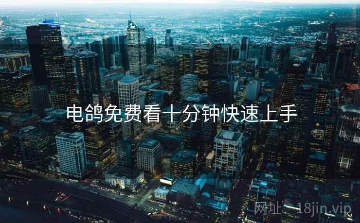 电鸽免费看十分钟快速上手