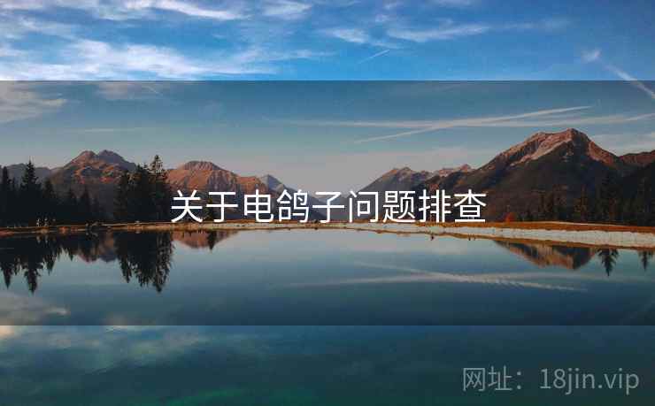 关于电鸽子问题排查